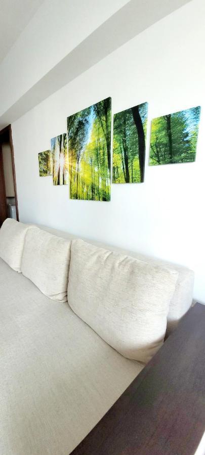Brancoveanu Apartament's * Bucharest