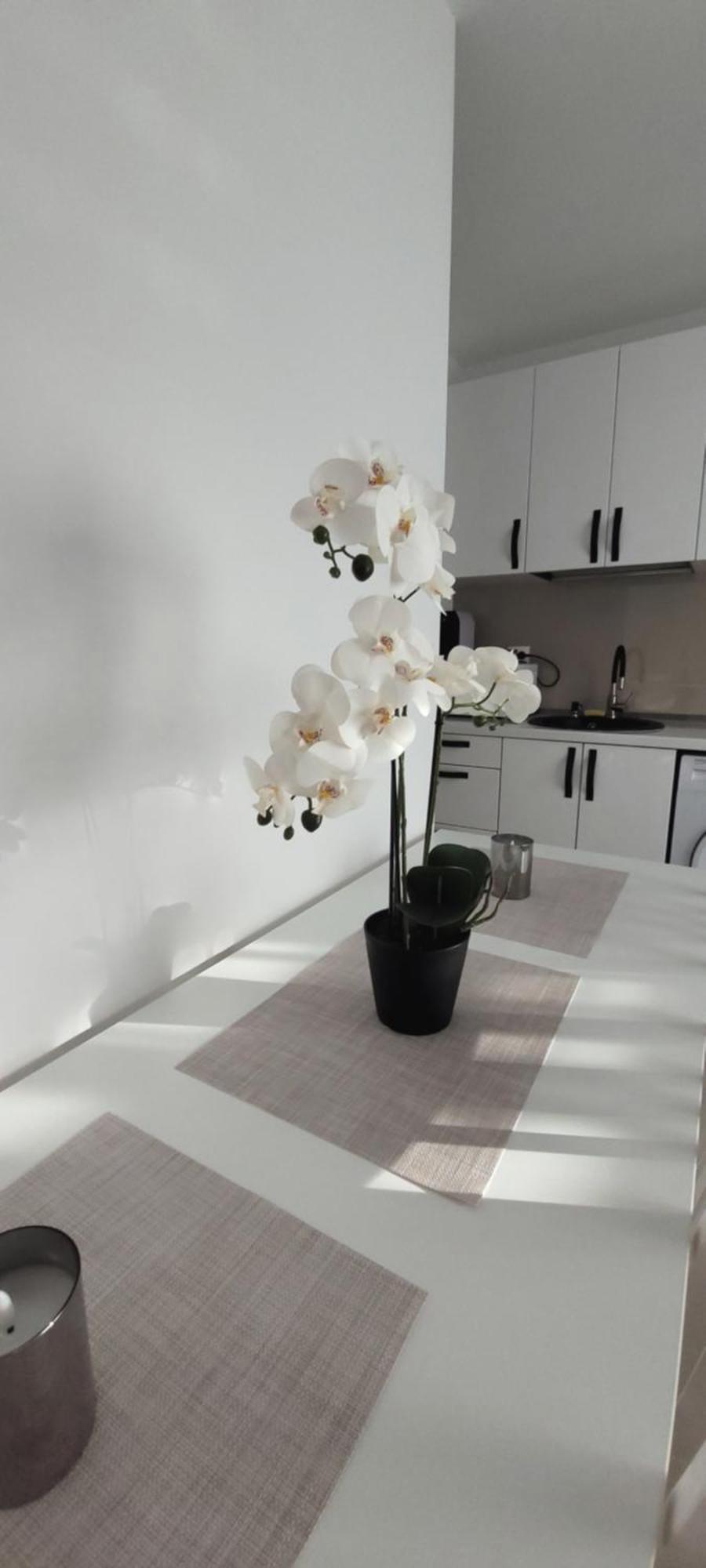Brancoveanu Apartament's 公寓